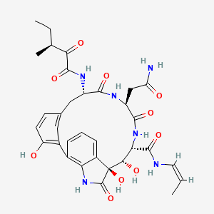 molecular formula C33H38N6O10 B1245132 (10S,11S,12S,15S,18S)-15-(2-amino-2-oxoethyl)-10,11,23-trihydroxy-18-{[(3S)-3-methyl-2-oxopentanoyl]amino}-9,14,17-trioxo-N-[(1Z)-prop-1-en-1-yl]-8,13,16-triazatetracyclo[18.3.1.0(2,7).0(6,10)]tetracosa-1(24),2,4,6,20,22-hexaene-12-carboxamide 