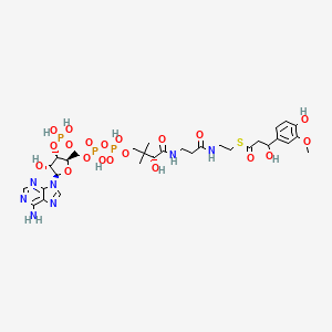 molecular formula C31H46N7O20P3S B1245167 3-hydroxy-3-(4-hydroxy-3-methoxyphenyl)propanoyl-CoA 