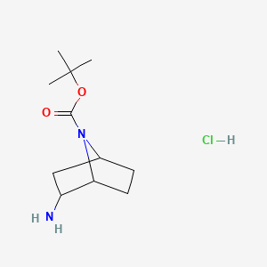 molecular formula C11H21ClN2O2 B12452720 Tert-butyl 2-amino-7-azabicyclo[2.2.1]heptane-7-carboxylate hydrochloride 