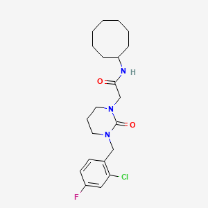 2-[3-[(2-chloro-4-fluorophenyl)methyl]-2-oxo-1,3-diazinan-1-yl]-N-cyclooctylacetamide