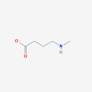 4-(Methylamino)butyrate