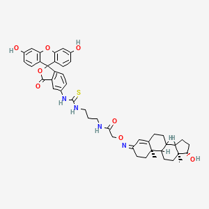 Testosterone-dap-fluorescein
