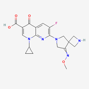 molecular formula C19H20FN5O4 B1245413 Zabofloxacin CAS No. 219680-11-2