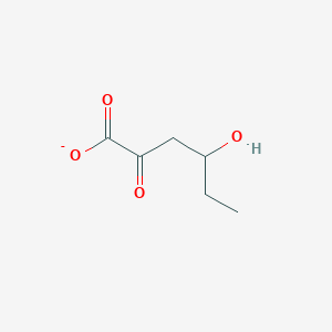 4-Hydroxy-2-oxohexanoate