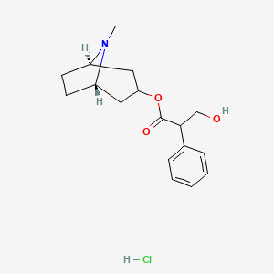 molecular formula C17H24ClNO3 B1245437 Atropine hydrochloride CAS No. 33952-38-4