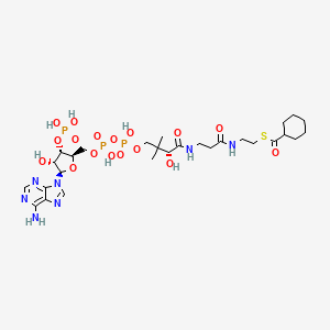 molecular formula C28H46N7O17P3S B1245529 Cyclohexanoyl coenzyme A CAS No. 5960-12-3