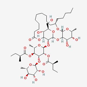 molecular formula C50H86O21 B1245549 Tricolorin A 