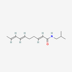 molecular formula C14H23NO B1245566 (2e,6e,8e)-n-(2-Methylpropyl)-2,6,8-decatrienamide CAS No. 76361-77-8