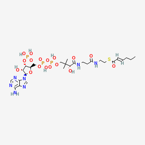 molecular formula C27H44N7O17P3S B1245581 (2E)-Hexenoyl-CoA 