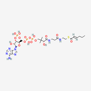 trans-Hex-2-enoyl-CoA