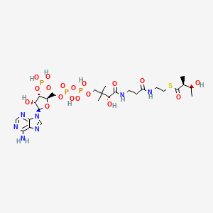 3-Hydroxy-2-methylbutyryl-CoA