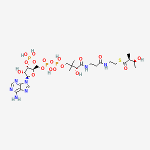 (2S,3S)-3-hydroxy-2-methylbutanoyl-CoA