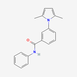 molecular formula C19H18N2O B12459407 3-(2,5-dimethylpyrrol-1-yl)-N-phenylbenzamide CAS No. 352672-18-5