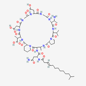 molecular formula C59H94N14O19 B1245957 2-[16-(1-aminoethyl)-3-[[4-amino-2-[[(E)-12-methyltridec-3-enoyl]amino]-4-oxobutanoyl]amino]-22,28-bis(carboxymethyl)-4-methyl-2,6,12,15,18,21,24,27,30,33-decaoxo-13-propan-2-yl-1,5,11,14,17,20,23,26,29,32-decazatricyclo[32.4.0.07,11]octatriacontan-31-yl]propanoic acid 