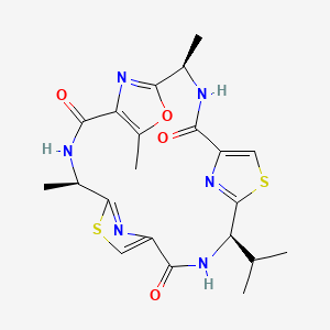 molecular formula C21H24N6O4S2 B1245984 venturamide A 