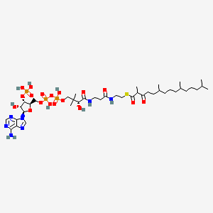 molecular formula C40H70N7O18P3S B1246041 3-氧代前列腺素酰辅酶A 