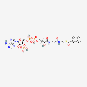 molecular formula C32H42N7O17P3S B1246113 2-Naphthoyl-CoA 