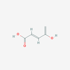 molecular formula C5H6O3 B124619 (2E)-4-hydroxypenta-2,4-dienoic Acid CAS No. 144878-34-2