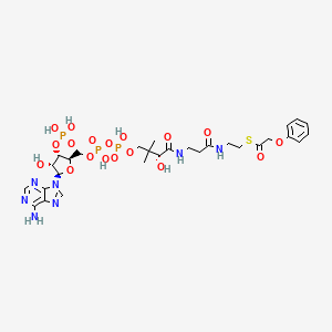 molecular formula C29H42N7O18P3S B1246203 Phenoxyacetyl-CoA 