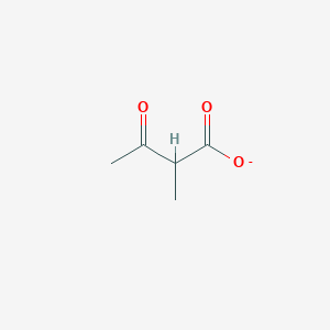 molecular formula C5H7O3- B1246266 2-Methylacetoacetate 
