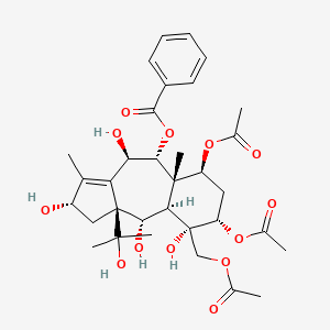 molecular formula C33H44O13 B1246315 Tasumatrol E 