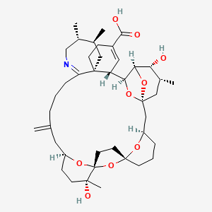 molecular formula C41H61NO9 B1246327 Pinnatoxin A 