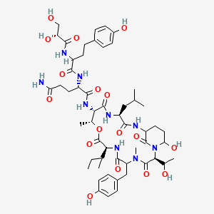 molecular formula C53H77N9O17 B1246354 (2S)-N-[(2S,8S,11R,12S,15S)-8-butan-2-yl-21-hydroxy-2-(1-hydroxyethyl)-5-[(4-hydroxyphenyl)methyl]-4,11-dimethyl-15-(2-methylpropyl)-3,6,9,13,16,22-hexaoxo-10-oxa-1,4,7,14,17-pentazabicyclo[16.3.1]docosan-12-yl]-2-[[2-[[(2R)-2,3-dihydroxypropanoyl]amino]-4-(4-hydroxyphenyl)butanoyl]amino]pentanediamide 