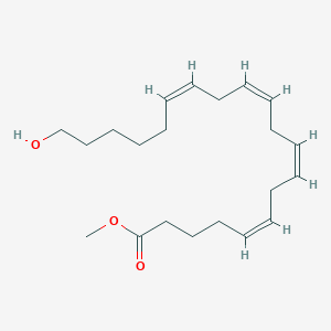 molecular formula C21H34O3 B1246360 Methyl (5Z,8Z,11Z,14Z)-20-hydroxyicosa-5,8,11,14-tetraenoate 