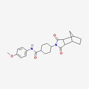 molecular formula C23H28N2O4 B12463697 4-(1,3-dioxooctahydro-2H-4,7-methanoisoindol-2-yl)-N-(4-methoxyphenyl)cyclohexanecarboxamide 