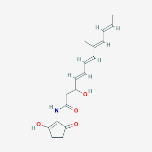 molecular formula C18H23NO4 B1246388 (4E,6E,8E,10E)-3-hydroxy-N-(2-hydroxy-5-oxocyclopenten-1-yl)-8-methyldodeca-4,6,8,10-tetraenamide 