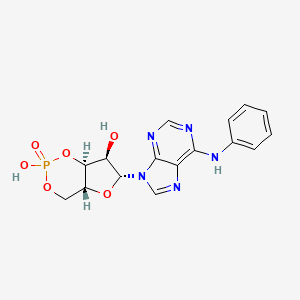 molecular formula C16H16N5O6P B1246391 N6-phenyl-cAMP 