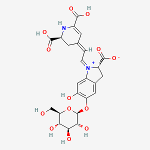molecular formula C24H26N2O13 B1246406 (2S)-1-[(2E)-2-[(2S)-2,6-dicarboxy-2,3-dihydro-1H-pyridin-4-ylidene]ethylidene]-6-hydroxy-5-[(2S,3R,4S,5S,6R)-3,4,5-trihydroxy-6-(hydroxymethyl)tetrahydropyran-2-yl]oxy-indolin-1-ium-2-carboxylate 