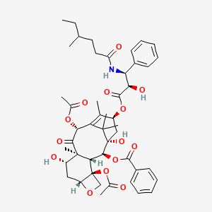 molecular formula C47H59NO14 B1246530 Taxuspinanane A 