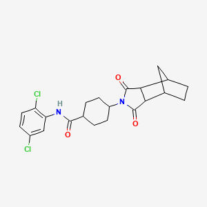 molecular formula C22H24Cl2N2O3 B12467117 N-(2,5-dichlorophenyl)-4-(1,3-dioxooctahydro-2H-4,7-methanoisoindol-2-yl)cyclohexanecarboxamide 