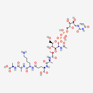 UDP-N-acetyl-alpha-D-muramoyl-L-alanyl-gamma-D-glutamyl-L-lysyl-D-alanyl-D-alanine