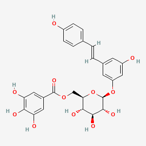 (E)-Resveratrol 3-(6''-galloyl)-O-beta-D-glucopyranoside