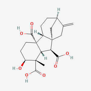 molecular formula C20H26O7 B1246806 Gibberellin A13 CAS No. 2922-24-9