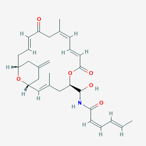 molecular formula C29H37NO6 B1246934 (2Z,4E)-N-[[(1R,2E,5R,8E,10Z,14E,17R)-3,11-dimethyl-19-methylidene-7,13-dioxo-6,21-dioxabicyclo[15.3.1]henicosa-2,8,10,14-tetraen-5-yl]-hydroxymethyl]hexa-2,4-dienamide 