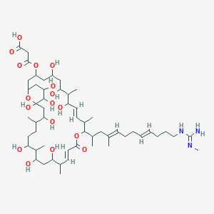 molecular formula C54H93N3O17 B1246944 3-[[(10E,16E)-5,7,9,19,21,23,27,29,30,31-decahydroxy-8,12,18,22,26-pentamethyl-13-[(4E,8E)-4-methyl-12-[(N'-methylcarbamimidoyl)amino]dodeca-4,8-dien-2-yl]-15-oxo-14,33-dioxabicyclo[27.3.1]tritriaconta-10,16-dien-3-yl]oxy]-3-oxopropanoic acid 