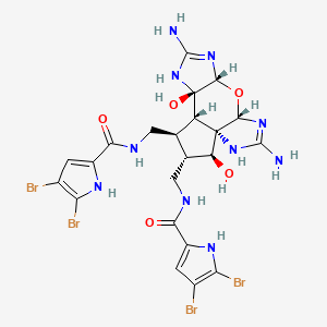 molecular formula C22H24Br4N10O5 B1247034 Massadine 