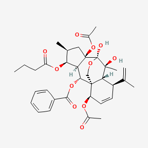 molecular formula C35H44O11 B1247121 [(1R,2R,3R,4S,5S,7R,8R,9S,10R,11S,14R)-7,14-diacetyloxy-4-butanoyloxy-8,9-dihydroxy-5,9-dimethyl-11-prop-1-en-2-yl-16-oxatetracyclo[6.6.2.01,10.03,7]hexadec-12-en-2-yl] benzoate 