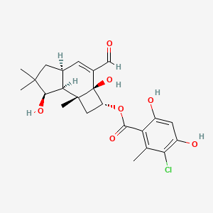 molecular formula C23H27ClO7 B1247725 Melleolide L 