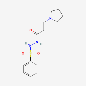 molecular formula C13H19N3O3S B12477612 N'-(phenylsulfonyl)-3-(pyrrolidin-1-yl)propanehydrazide 