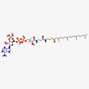 3'-phosphoadenosine 5'-{3-[(3R)-3-hydroxy-2,2-dimethyl-4-oxo-4-{[3-oxo-3-({2-[(3,7,11,15-tetramethylhexadecanoyl)sulfanyl]ethyl}amino)propyl]amino}butyl] dihydrogen diphosphate}