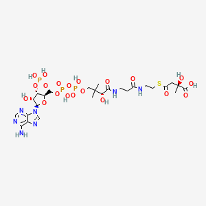(3S)-Citramalyl-CoA