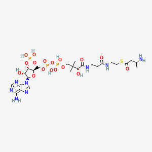 molecular formula C25H43N8O17P3S B1247917 3-aminobutyryl-CoA 