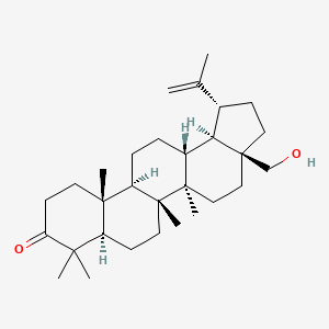 molecular formula C30H48O2 B1248025 Betulone 
