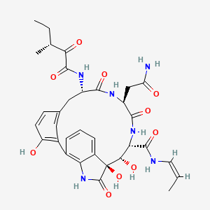 molecular formula C33H38N6O10 B1248192 (10S,11S,12S,15S,18S)-15-(2-amino-2-oxoethyl)-10,11,23-trihydroxy-18-{[(3R)-3-methyl-2-oxopentanoyl]amino}-9,14,17-trioxo-N-[(1Z)-prop-1-en-1-yl]-8,13,16-triazatetracyclo[18.3.1.0(2,7).0(6,10)]tetracosa-1(24),2,4,6,20,22-hexaene-12-carboxamide 