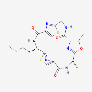molecular formula C20H22N6O4S3 B1248237 Tenuecyclamide C 
