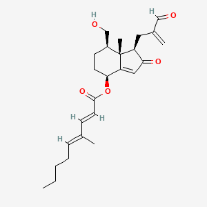 molecular formula C25H34O5 B1248262 Dictyopanine A 